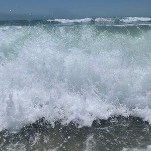 Meet your Posher, Cheyenne